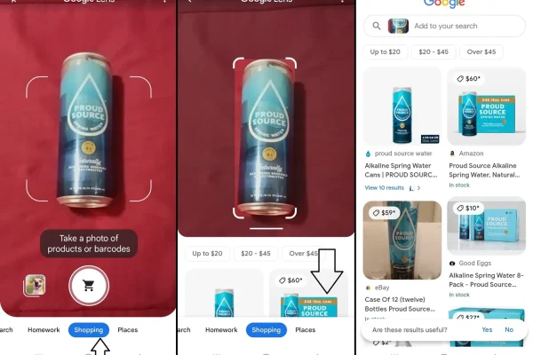Google Lens Shopping product image example