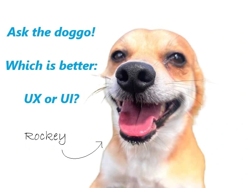 A cute dog asking which is better, UX or UI?