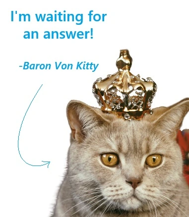 Humorous crown wearing cat wanting to know an answer. This photo is related to UX and UI in web design.