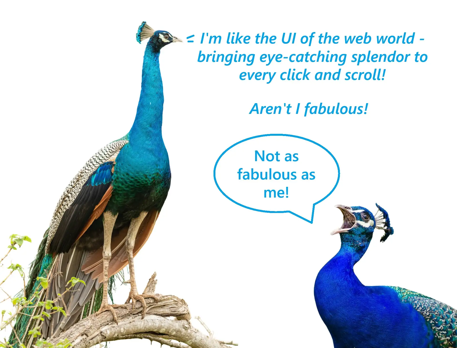 An image of a vibrant peacock, symbolizing the dazzling and visually captivating nature of User Interface in web design, akin to the peacock's role in nature as a symbol of beauty and allure.