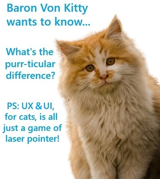 Humorous cat asking about UX vs UI and what's the main difference between them.