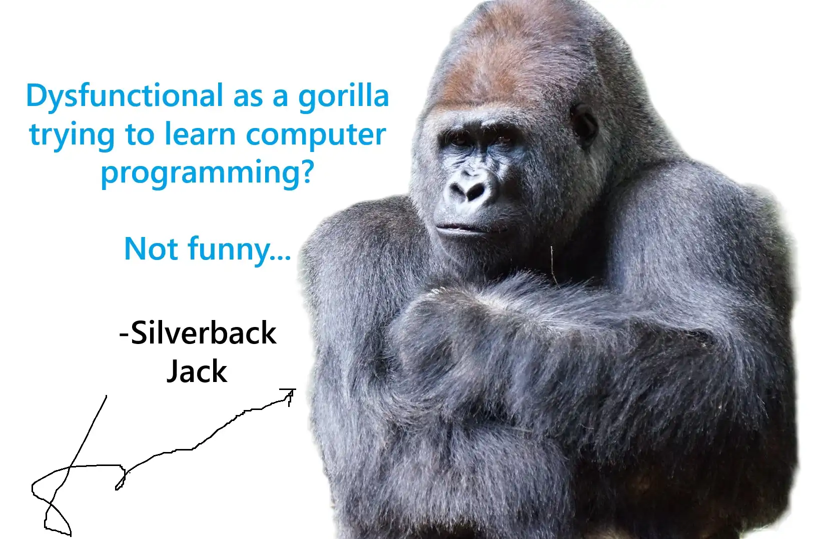 Funny and grumpy gorilla crossing his arms as he makes an inside joke about a comment in a UX and UI web design blog post.