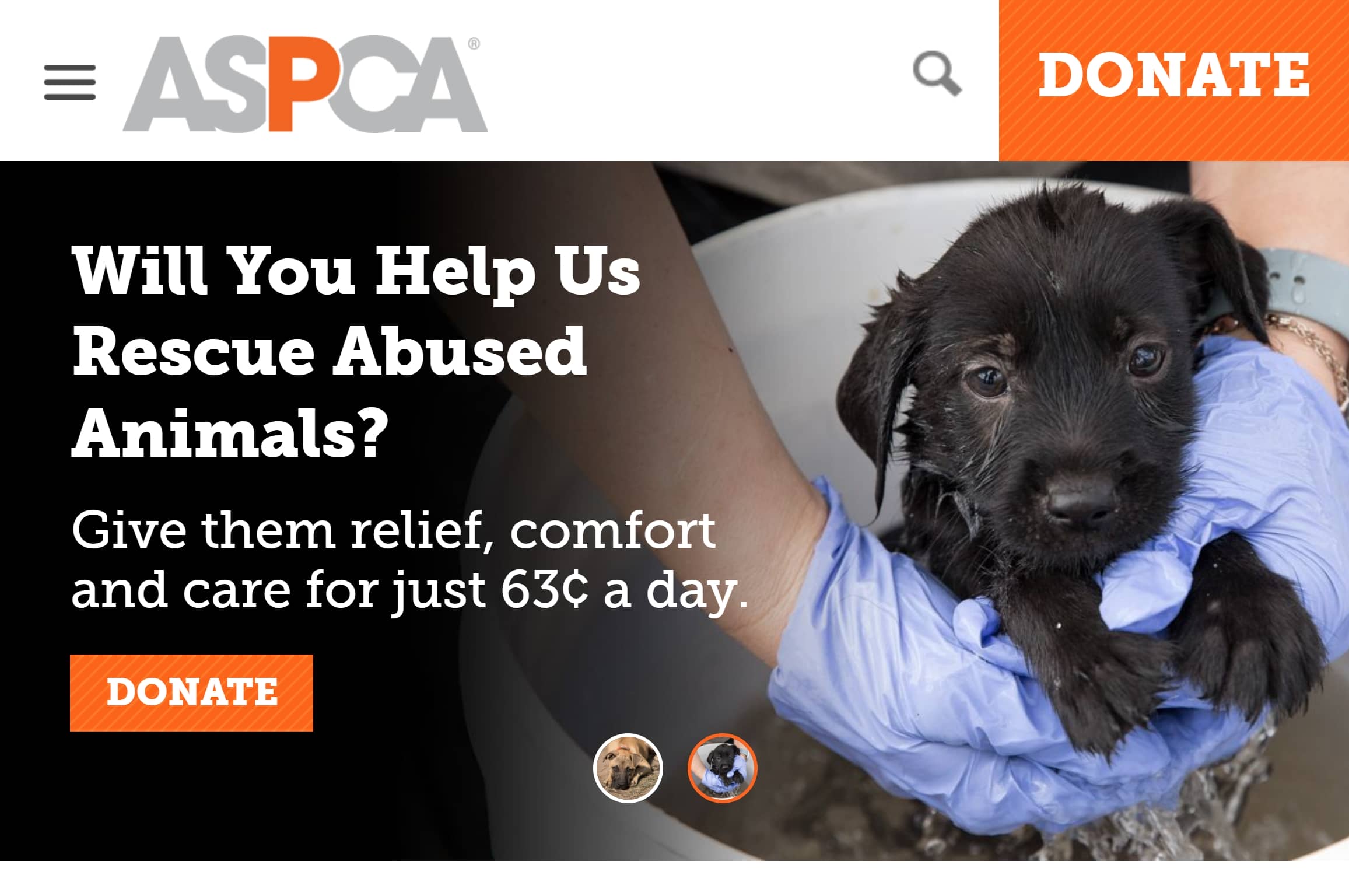 ASPCA website homepage