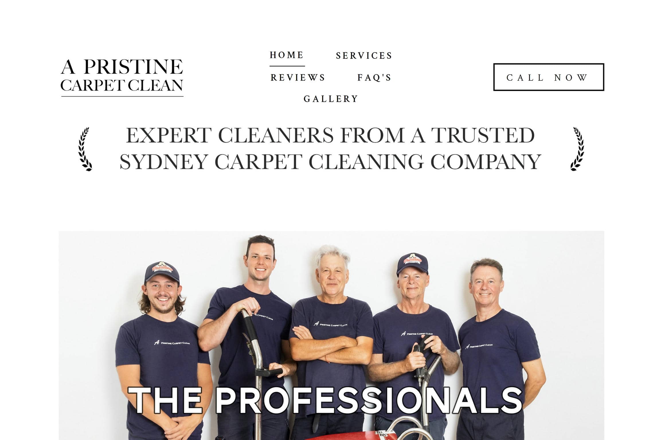 A Pristine Carpet Clean best small business website