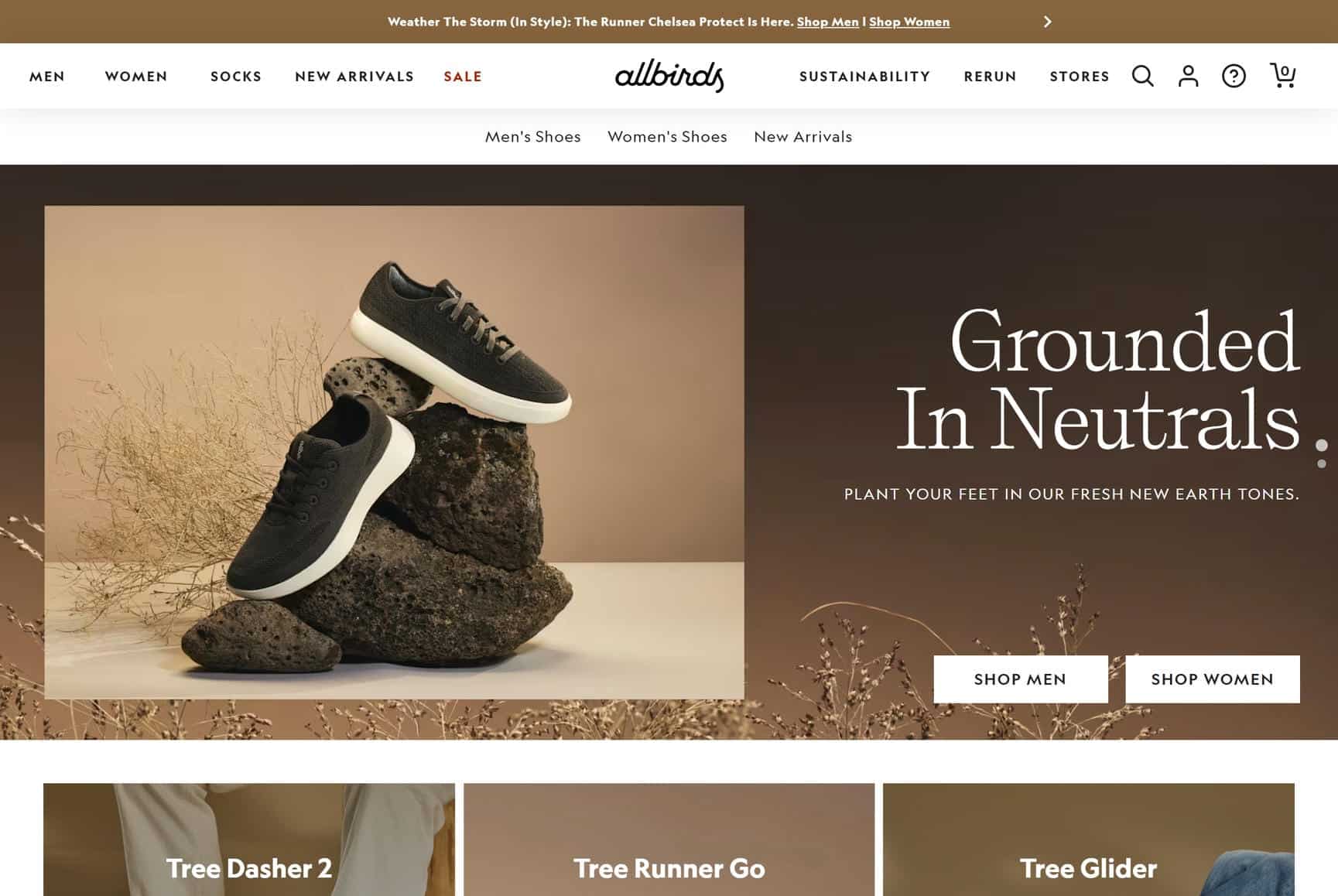 AllBirds website homepage